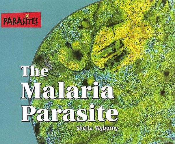 The Malaria Parasite