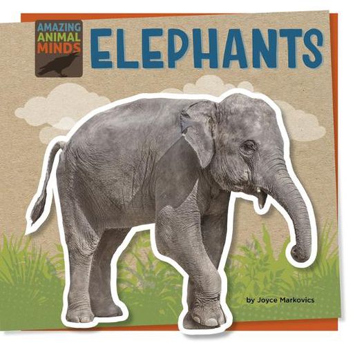 Cover image for Elephants