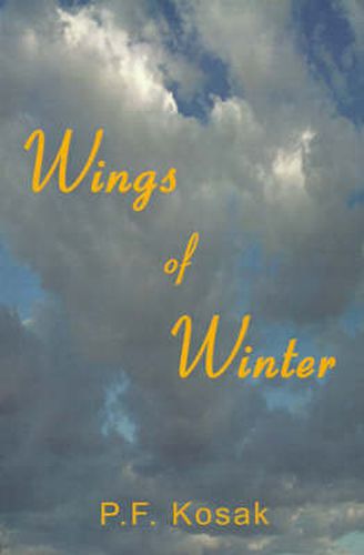 Cover image for Wings of Winter