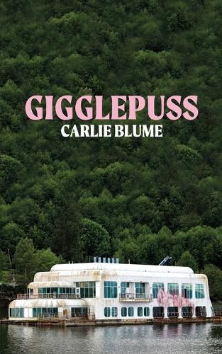 Cover image for Gigglepuss