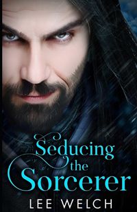 Cover image for Seducing the Sorcerer