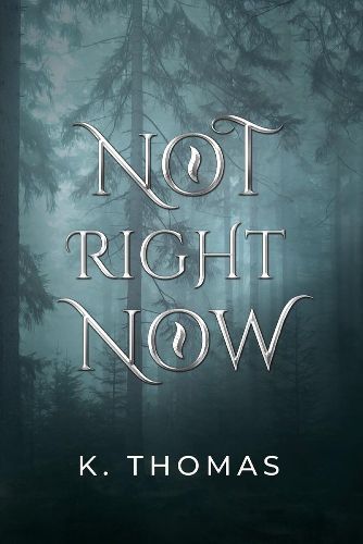 Cover image for Not Right Now