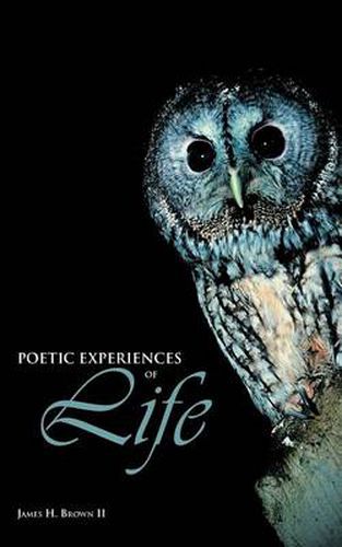 Cover image for Poetic Experiences of Life