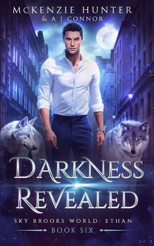 Cover image for Darkness Revealed