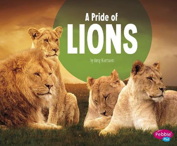 A Pride of Lions (Animal Groups)