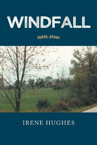 Cover image for Windfall