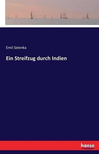 Cover image for Ein Streifzug durch Indien