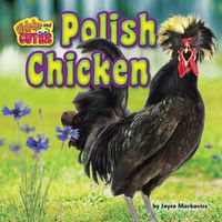 Cover image for Polish Chicken