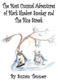 Cover image for The Most Unusual Adventures of Black Shadow Smokey and The Blue Streak
