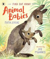 Cover image for Find Out About ... Animal Babies