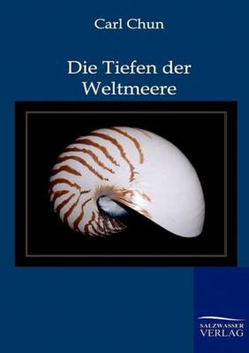 Cover image for Die Tiefen der Weltmeere