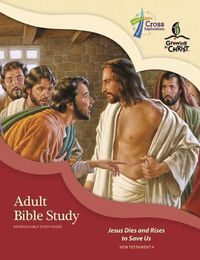 Cover image for Adult Bible Study (Nt4)