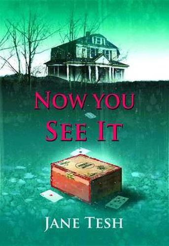 Cover image for Now You See it: A Grace Street Mystery