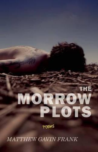 Cover image for The Morrow Plots