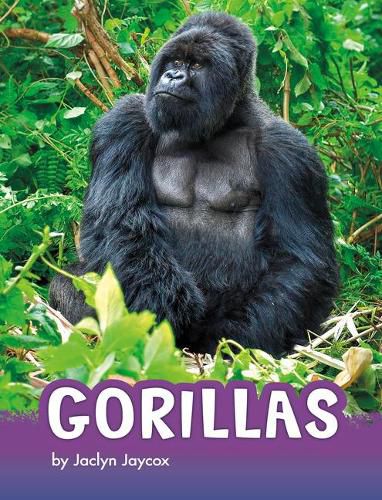 Cover image for Gorillas