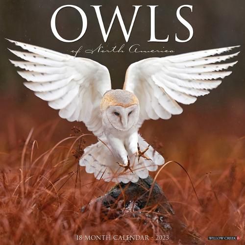 Cover image for Owls 2023 Wall Calendar