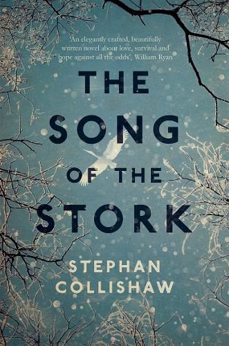 Cover image for The Song of the Stork: a story of love, hope and survival