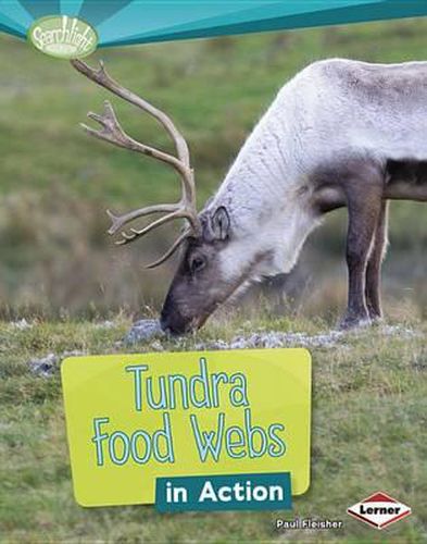 Cover image for Tundra Food Webs in Action