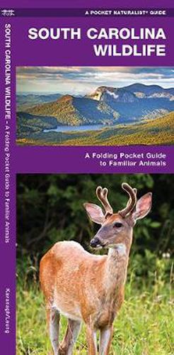 Cover image for South Carolina Wildlife: A Folding Pocket Guide to Familiar Species