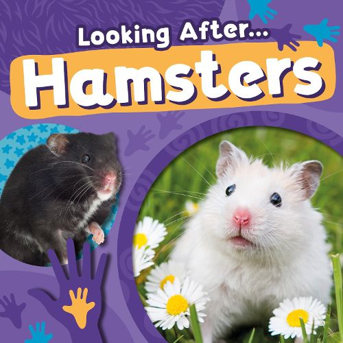 Cover image for Hamsters