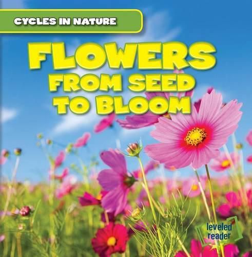 Cover image for Flowers: From Seed to Bloom