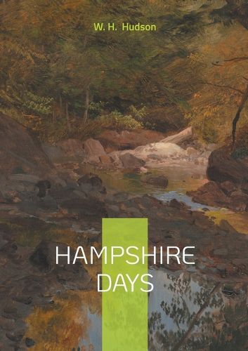 Cover image for Hampshire Days