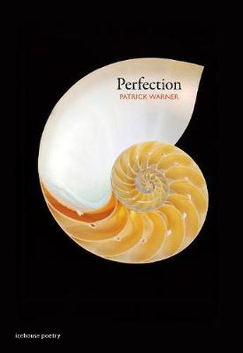 Cover image for Perfection