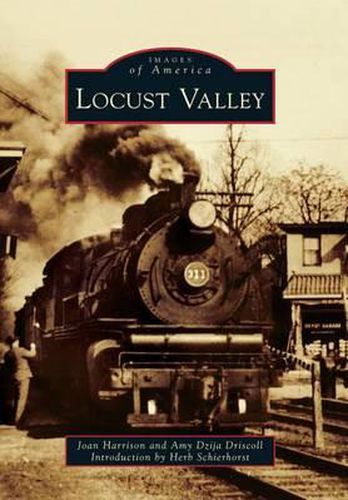 Cover image for Locust Valley