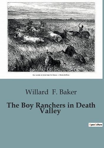 Cover image for The Boy Ranchers in Death Valley