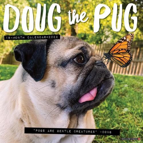 Cover image for Doug the Pug 2022 Wall Calendar