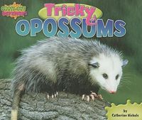 Cover image for Tricky Opossums