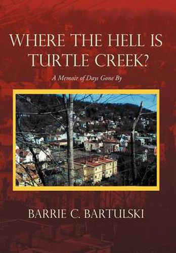 Cover image for Where the Hell Is Turtle Creek?