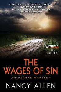 Cover image for The Wages of Sin: An Ozarks Mystery