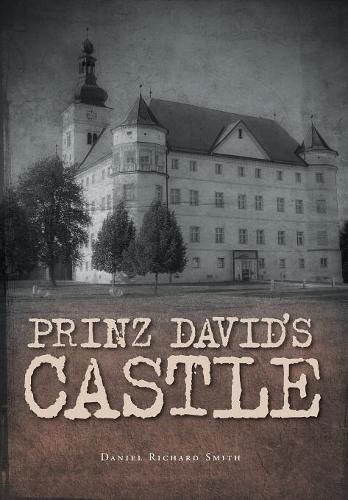 Cover image for Prinz David's Castle