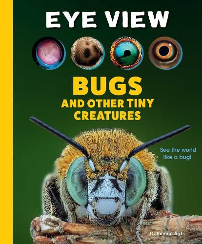 Cover image for Eye View: Bugs and Other Tiny Creatures