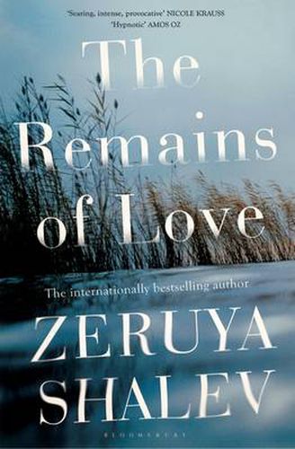 Cover image for The Remains of Love
