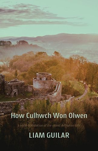Cover image for How Culhwch Won Olwen
