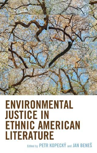 Cover image for Environmental Justice in Ethnic American Literature