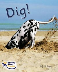 Cover image for Dig!