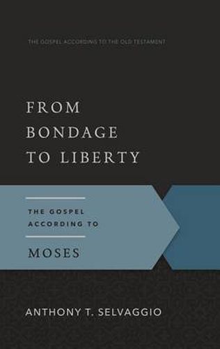 Cover image for From Bondage to Liberty