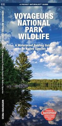 Cover image for Voyageurs National Park Wildlife