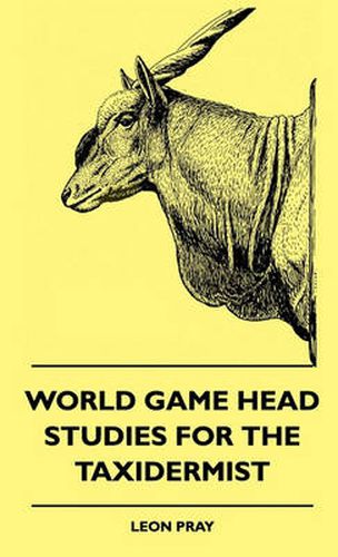 Cover image for World Game Head Studies For The Taxidermist