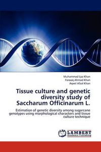 Cover image for Tissue culture and genetic diversity study of Saccharum Officinarum L.