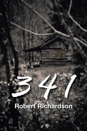 Cover image for 3 4 1