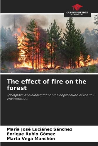 Cover image for The effect of fire on the forest