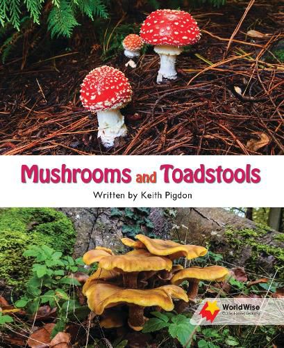 Cover image for Mushrooms and Toadstools