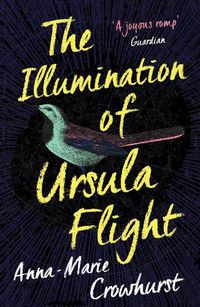 Cover image for The Illumination of Ursula Flight
