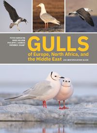 Cover image for Gulls of Europe, North Africa, and the Middle East: An Identification Guide