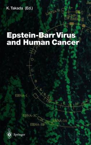 Cover image for Epstein-Barr Virus and Human Cancer