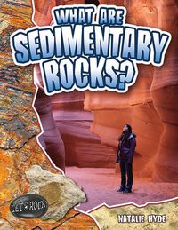 Cover image for What are Sedimentary Rocks?